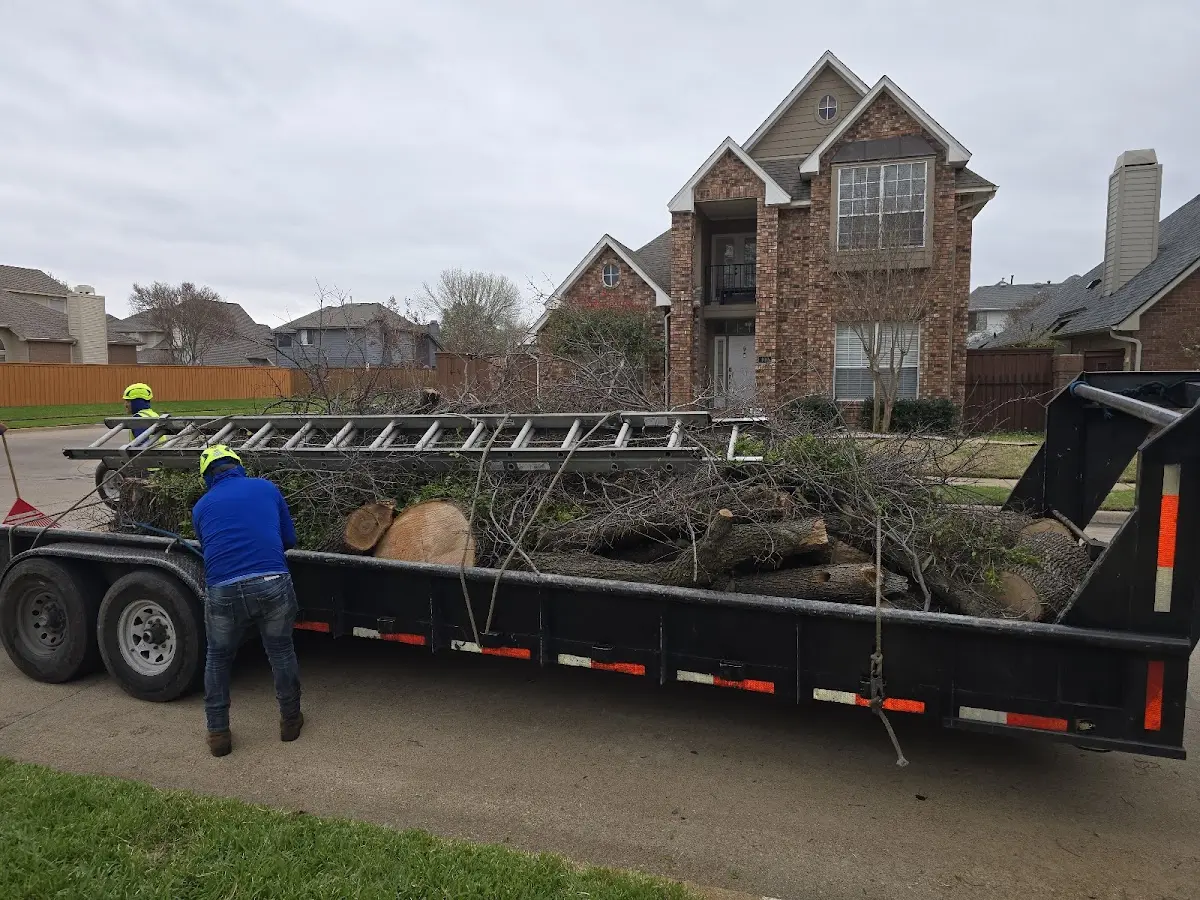 Expert Lot Clearing with proper safety equipment in Richview